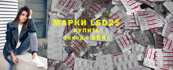 ГАЛЛЮЦИНОГЕННЫЕ ГРИБЫ Вязьма