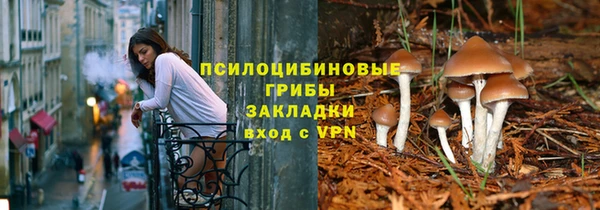 ГАЛЛЮЦИНОГЕННЫЕ ГРИБЫ Вязьма