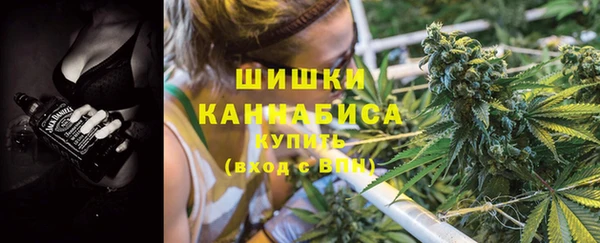 дмт Вяземский