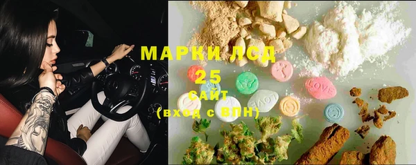 ГАЛЛЮЦИНОГЕННЫЕ ГРИБЫ Вязьма