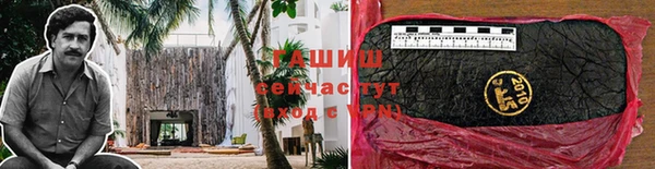 дмт Вяземский