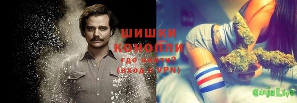 ГАЛЛЮЦИНОГЕННЫЕ ГРИБЫ Вязьма