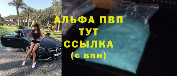ГАЛЛЮЦИНОГЕННЫЕ ГРИБЫ Вязьма