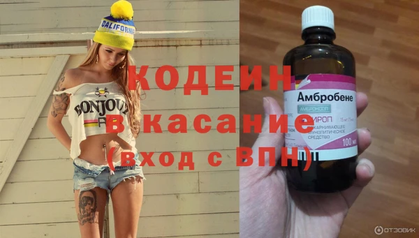 дмт Вяземский