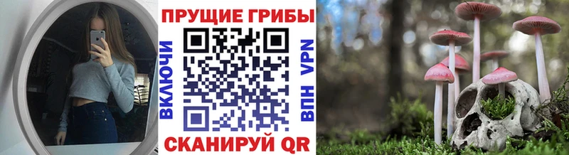 Псилоцибиновые грибы Magic Shrooms  закладки  Островной 